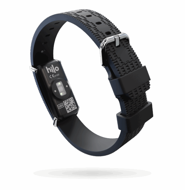 Hilo Band - Image 3
